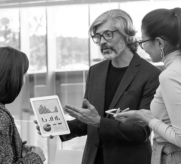 Data Analytics Consulting
